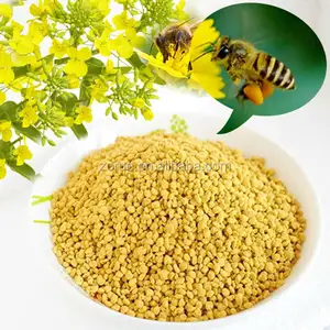 来自中国黄纯油菜花蜜蜂:
