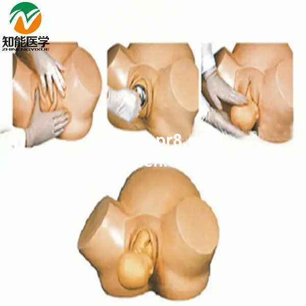 Advanced доставки childbirthtraining медицинская модель BIX-F8