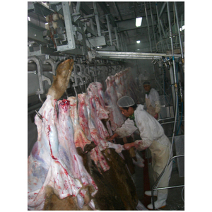 Halal Fleischs ch lacht maschinen Kamel für Schlachthof prozess - Product Image 5