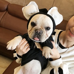 Pakaian Anjing Kecil Katun Desainer Grosir - Product Image 2