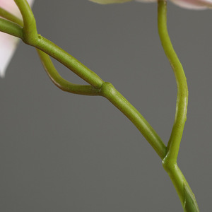 Orquídeas artificiales decorativas para boda, arreglo de flores, orquídeas artificiales, <span class=keywords><strong>Phalaenopsis</strong></span>, <span class=keywords><strong>precio</strong></span> de fábrica, venta al por mayor - Product Image 5