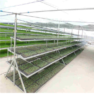 Rolling <strong>Greenhouse</strong> <strong>Bench</strong> - Product Image 5