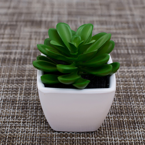 Cina Fiore Artificiale Mini Pianta di <span class=keywords><strong>Cactus</strong></span> Falso <span class=keywords><strong>Piante</strong></span> <span class=keywords><strong>Grasse</strong></span> In Vaso Per La Decorazione - Product Image 1
