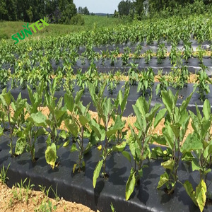Film de <span class=keywords><strong>paillage</strong></span> biologique réfléchissant, couche en plastique, pour agriculture, couverture de sol, pour agriculture de jardin, pour le contrôle des mauvaises herbes - Product Image 5