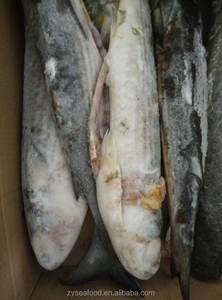 F102 Alta qualidade Venda quente 500G + Eviscerado Cinza Congelado Mullet Fish - Product Image 3