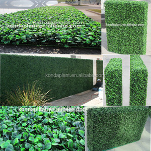 Fábrica <span class=keywords><strong>de</strong></span> alfombra <span class=keywords><strong>de</strong></span> césped artificial barato panel <span class=keywords><strong>de</strong></span> madera <span class=keywords><strong>de</strong></span> <span class=keywords><strong>boj</strong></span>, <span class=keywords><strong>seto</strong></span> artificial para la venta - Product Image 1