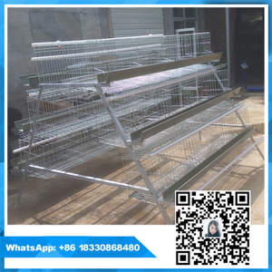 Venta grande utilizado para granja <span class=keywords><strong>de</strong></span> cría <span class=keywords><strong>de</strong></span> gallinas Ponedoras <span class=keywords><strong>de</strong></span> <span class=keywords><strong>huevos</strong></span> Jaula poutry con presión <span class=keywords><strong>de</strong></span> agua automático - Product Image 4
