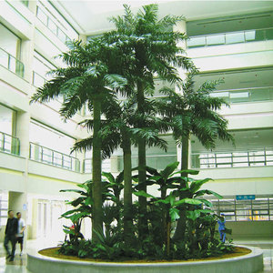 Nhà Máy cảnh quan 4-39ft chiều cao tùy chỉnh nhân tạo cây cọ - Product Image 3