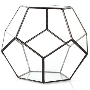 Fünfeckiges Kugelförmiges Offenes Glas Geometrisches <span class=keywords><strong>Terrarium</strong></span> zur Heimdekoration - Product Image 3