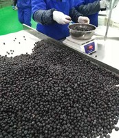 Chinese Merken Hoge Kwaliteit Gecultiveerd Bulk Fruit Bevroren Bosbessen Iqf Wilde Bessen Bosbes Prijzen