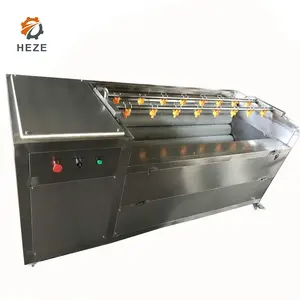 Machine à laver industrielle, pour tels que pastèque, oranges et pommes, avec pinceaux roulants, ml