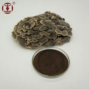 We are mushroom factory coriolus versicolor extract Fungus psp psk a class whole fruit body