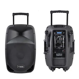 Precisión Pro Audio PMK15AVH Venta caliente 15 '100W Powered Speaker Trolley Altavoz activo con micrófono DJ