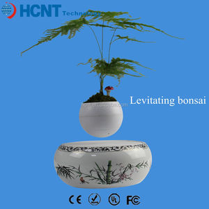 Levitando Japonés árboles bonsai artificiales con semillas de bonsai - Product Image 1