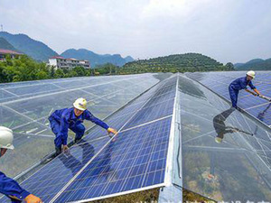 Sebze yetiştirme için ticari büyük akıllı tarımsal seralar Modern elektrik enerjisi güneş enerjisi sistemi - Product Image 5