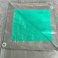 Bâche à coudre en nylon de polyéthylène vert, bleue
