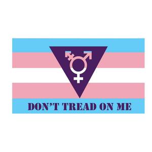 Bandera <span class=keywords><strong>Gadsden</strong></span> Personalizada de Poliéster con Diseño de Orgullo LGBT y Derechos Transgénero, Impresión Digital, Dos Ojales, Asta de Fibra de Vidrio, 3x5 pies - Product Image 1