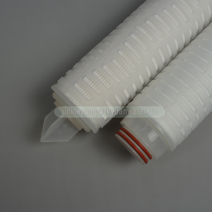 Bộ Lọc Màng Lọc Nhà Ở SS Xếp Li 10/20/30/40 Inch PP/PTFE/PES/PVDF/N6 0.2 Micron Sản Phẩm Thông Thường Lyuan/OEM - Product Image 4