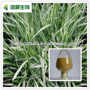 100% natural extracto de <span class=keywords><strong>avena</strong></span> <span class=keywords><strong>sativa</strong></span> - Product Image 1