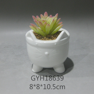 <span class=keywords><strong>Amazon</strong></span> Offre Spéciale mini succulentes en céramique pots <span class=keywords><strong>de</strong></span> fleurs pour décor <span class=keywords><strong>de</strong></span> table - Product Image 5