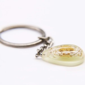 실제 전갈 에폭시 레진 물방울 야광 열쇠고리 - Product Image 5