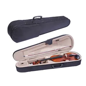 Estuche de Transporte para Instrumentos Musicales EVA, Estuche para Violín, Bolsa de Transporte para Violín EVA - Product Image 1