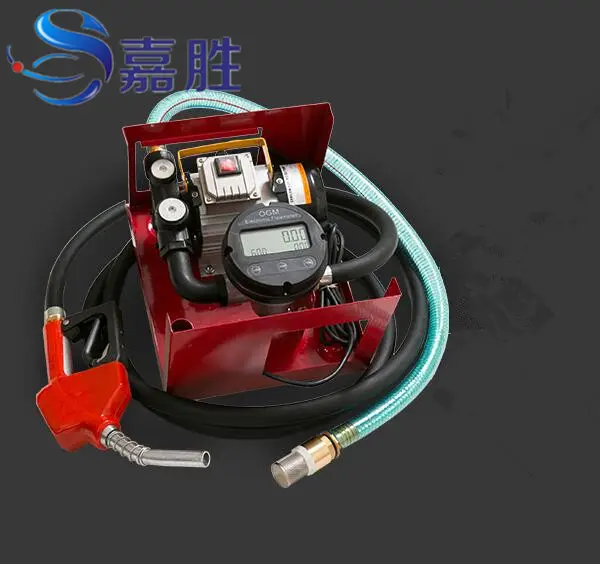 AC 12V Diesel Pump Set Diesel Fuel Transfer Pump Diesel Fuel Pump