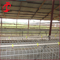 Offre Spéciale : Cage à Poulets de Chair Automatique à 5 Niveaux pour 200 Poules Pondeuses (Hebei) – Vente en Gros