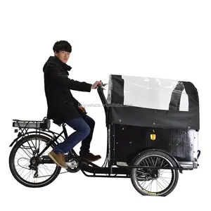 ce onaylı pedal destekli aile elektrikli 3 tekerlekli elektrikli yardımcı kargo trike