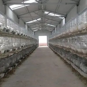 Chaud plongé galvanisé pigeon cage d'élevage à vendre