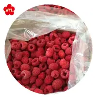 IQF Raspberry with Best Price, Frozen Fruits