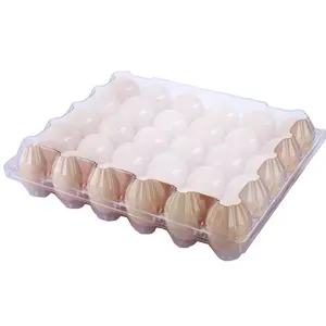 닭고기 달걀 조개 껍질 계란 포장 트레이 용 30 세포 물집 일회용 애완 동물 플라스틱 계란 트레이