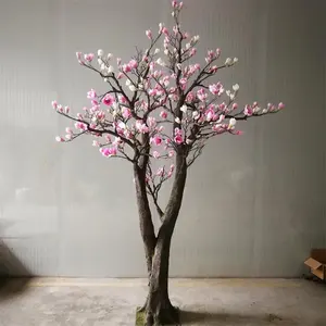 indoor garden decoration magnolia blossom flowering tree