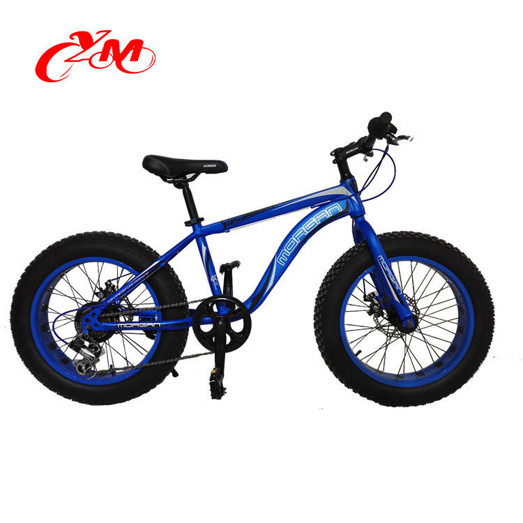 Shop Our New Style 26*4.0 Steel Fat Bike - Wholesale Price