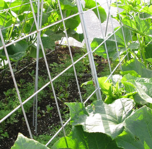 <span class=keywords><strong>Support</strong></span> d'escalade pour <span class=keywords><strong>plantes</strong></span>, treillis de jardin - Product Image 4
