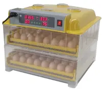 Solar Eggs Farming Machine, Incubator for Hatching Eggs