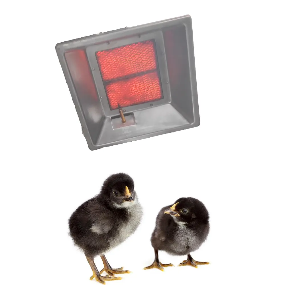 Couveuse/appareil de chauffage catalytique infrarouge à gaz GPL/NG utilisé en hiver pour le bétail et les animaux de volaille comme le poulet, le canard, l'oie