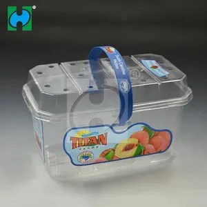 مخصص النقش البلاستيك القابل للتصرف التعبئة والتغليف شفافة الحاويات مع غطاء سلة فاكهة