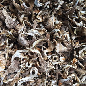 Detan Kering Jamur Tiram Grosir Harga - Product Image 1
