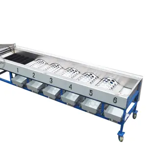 OEM Factory price advanced design apple grader/onion grading machine/potato sorting machine