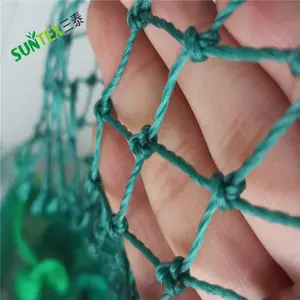 绿色聚乙烯塑料鸟网农业作物保护，重型塑料鸟网捕鸟网