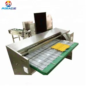 Electric egg sorting machine for egg grading and packing, egg weight grader, grading machine for chicken eggs