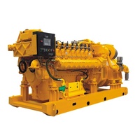 CE ISO Certified Methane Biogas Natural Gas Generator