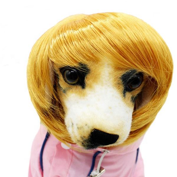 cane con parrucca