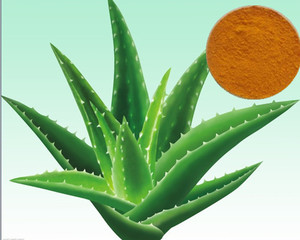 Surtidor de la fábrica | natural de <span class=keywords><strong>Aloe</strong></span> <span class=keywords><strong>emodina</strong></span> | cuidado de la salud - Product Image 2