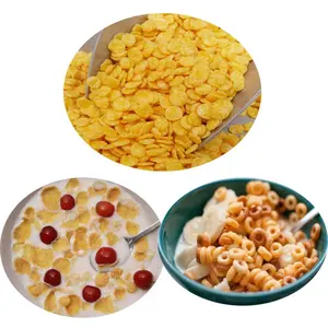 Updated top SUNWARD twin screw extrud Stainless steel breakfast baby cereals making machine supplier corn flakes production