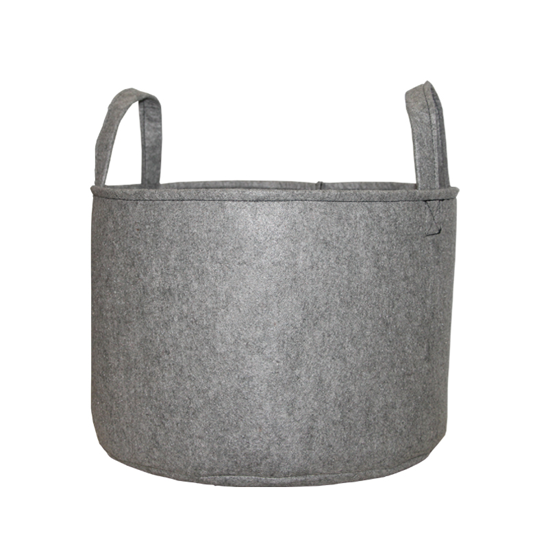 Gris
