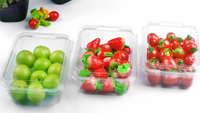 Haute Qualité alimentaire fruits emballage boîtes en plastique