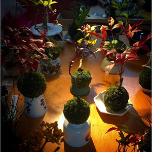 Vietnam macetas de bonsai bonsai <span class=keywords><strong>estante</strong></span> plástico volar en el aire - Product Image 2