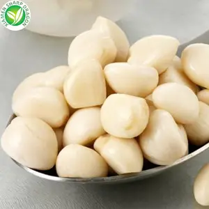 IQF Wholesale bulk peeled vegetables single cloves frozen white garlic